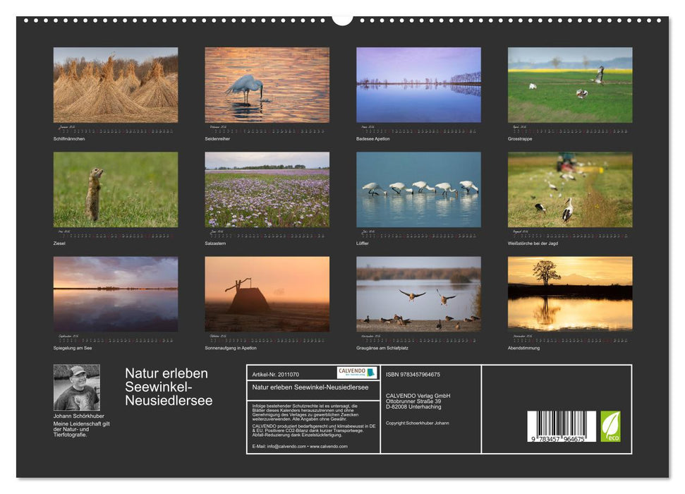 Natur erleben Seewinkel-Neusiedlersee (CALVENDO Premium Wandkalender 2026)