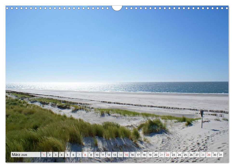 Amrum – Trauminsel in der Nordsee (CALVENDO Wandkalender 2026)