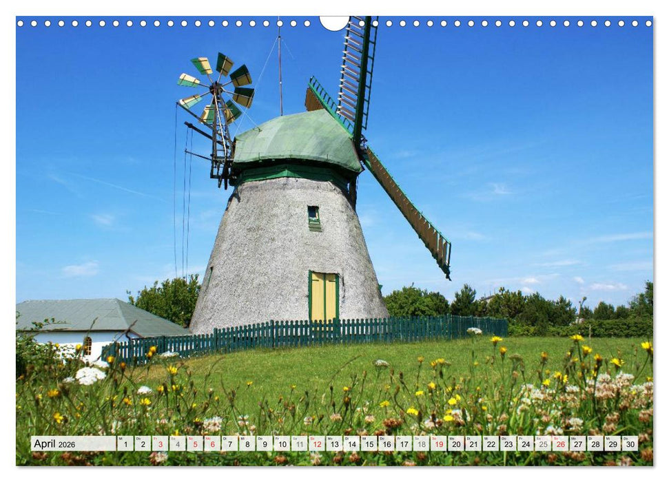 Amrum – Trauminsel in der Nordsee (CALVENDO Wandkalender 2026)
