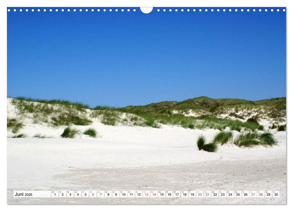 Amrum – Trauminsel in der Nordsee (CALVENDO Wandkalender 2026)