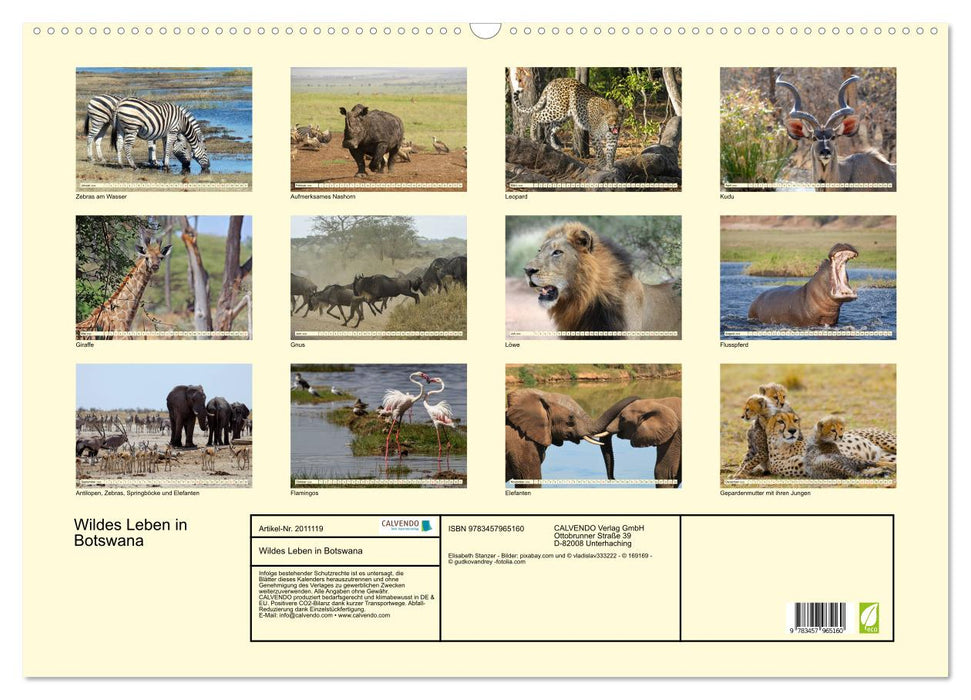Wildes Leben in Botswana (CALVENDO Wandkalender 2026)
