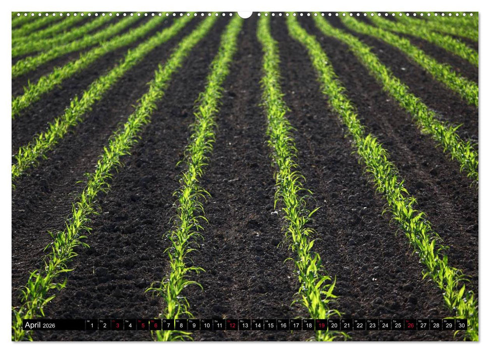 Entschleunigung - Zeit zum Durchatmen (CALVENDO Wandkalender 2026)