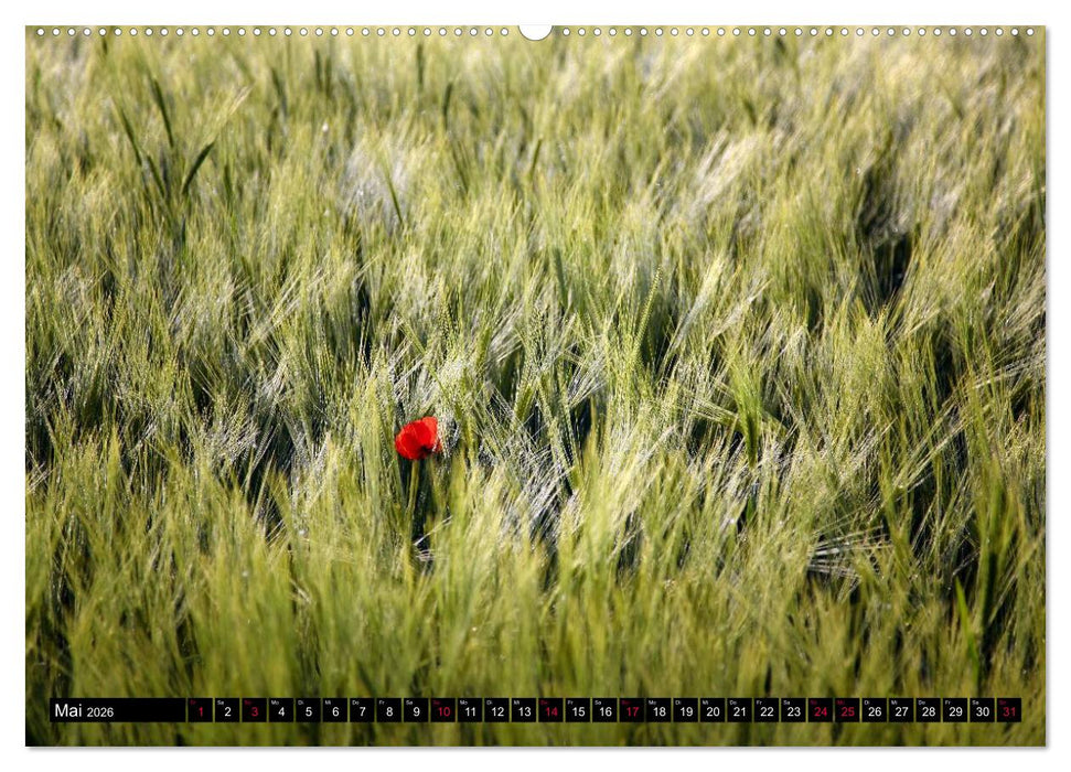 Entschleunigung - Zeit zum Durchatmen (CALVENDO Wandkalender 2026)