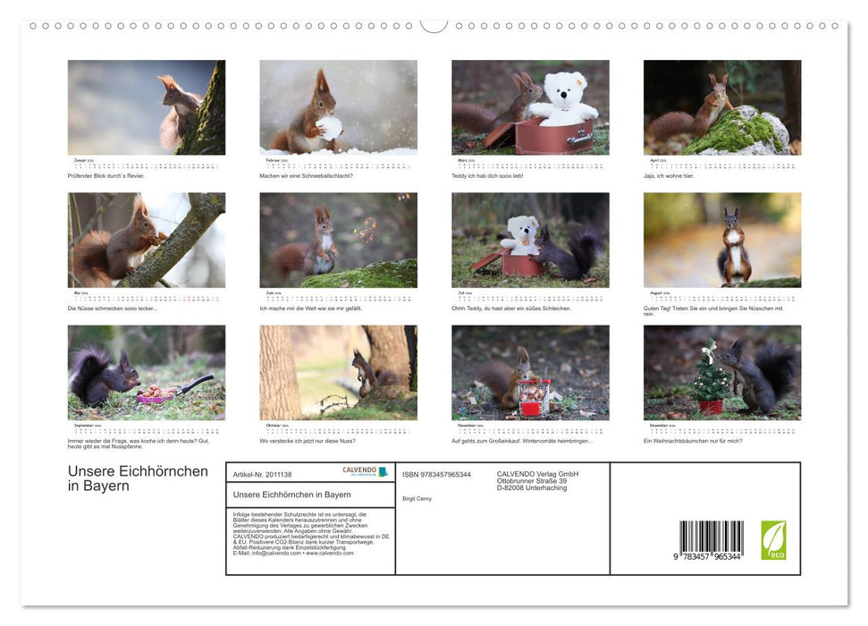 Unsere Eichhörnchen in Bayern (CALVENDO Premium Wandkalender 2026)