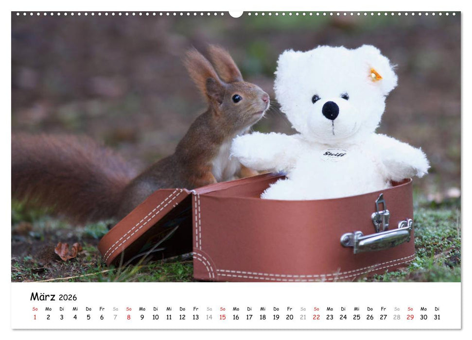 Unsere Eichhörnchen in Bayern (CALVENDO Premium Wandkalender 2026)