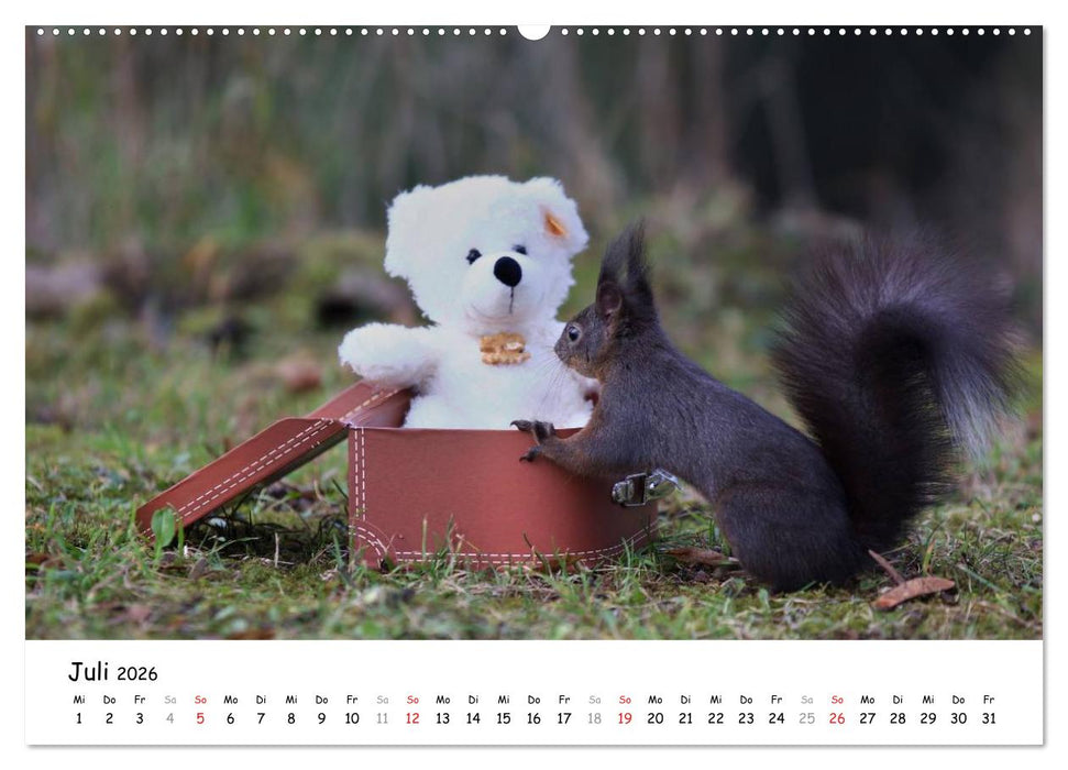 Unsere Eichhörnchen in Bayern (CALVENDO Premium Wandkalender 2026)