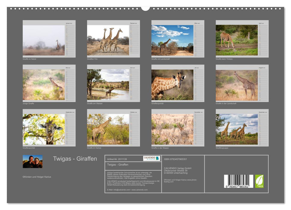 Twigas - Giraffen (CALVENDO Premium Wandkalender 2026)