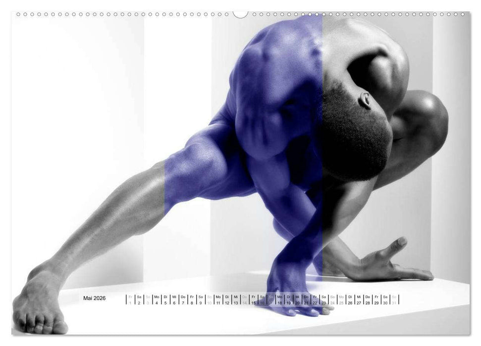 Naked men behind the colors – Ästhetische Aktfotografien (CALVENDO Wandkalender 2026)