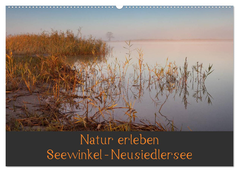 Natur erleben Seewinkel-Neusiedlersee (CALVENDO Wandkalender 2026)
