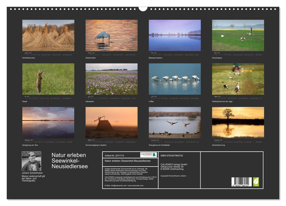 Natur erleben Seewinkel-Neusiedlersee (CALVENDO Wandkalender 2026)