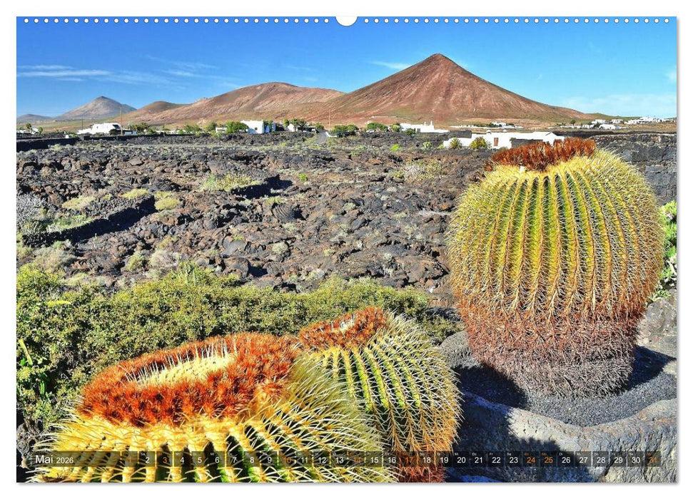 Lanzarote. Wunderwelt der Feuerberge (CALVENDO Wandkalender 2026)