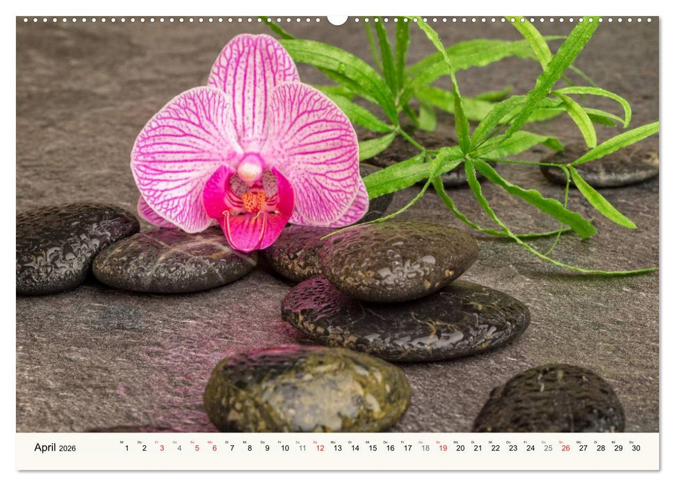 Urlaub für die Sinne (CALVENDO Wandkalender 2026)