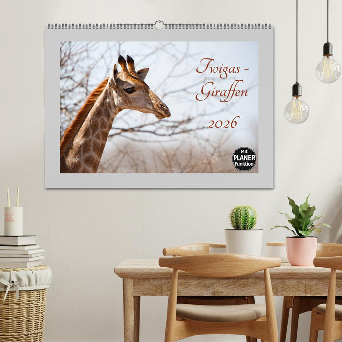 Twigas - Giraffen (CALVENDO Wandkalender 2026)