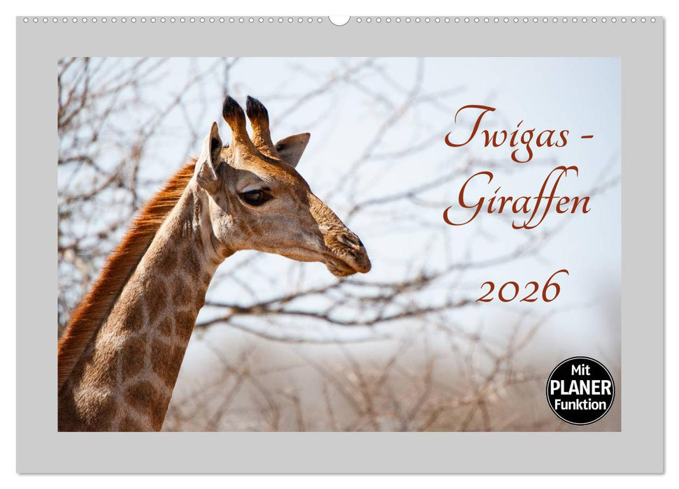 Twigas - Giraffen (CALVENDO Wandkalender 2026)