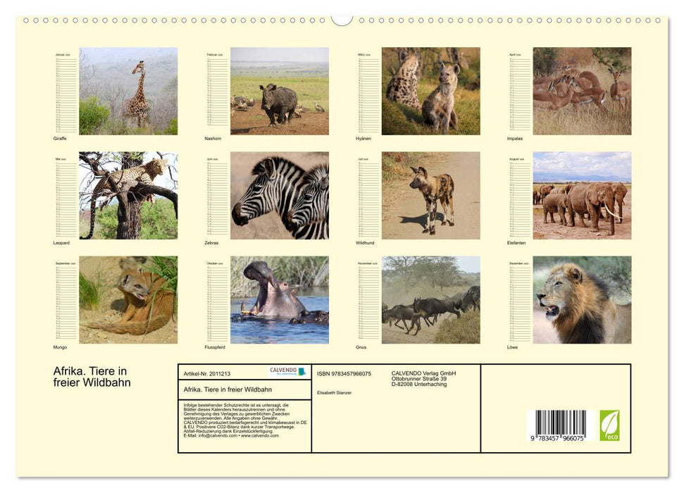 Afrika. Tiere in freier Wildbahn (CALVENDO Premium Wandkalender 2026)