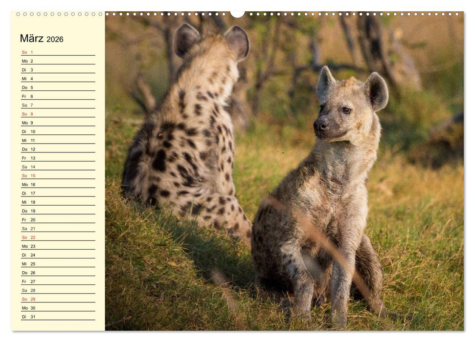 Afrika. Tiere in freier Wildbahn (CALVENDO Premium Wandkalender 2026)