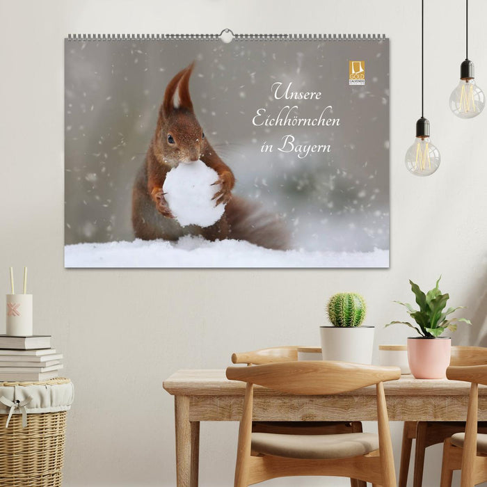 Unsere Eichhörnchen in Bayern (CALVENDO Wandkalender 2026)