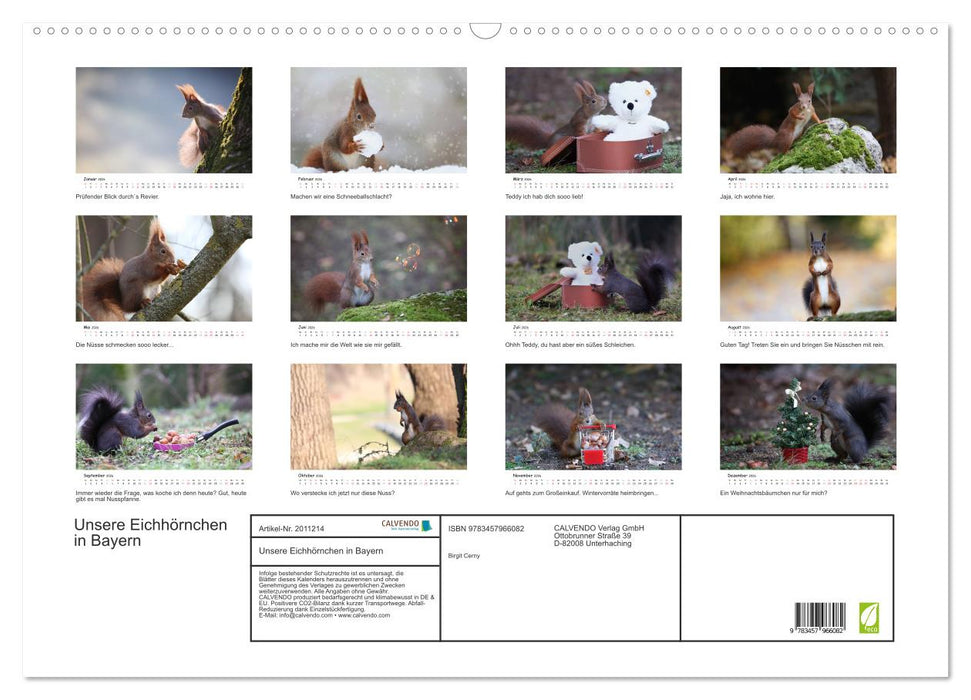 Unsere Eichhörnchen in Bayern (CALVENDO Wandkalender 2026)