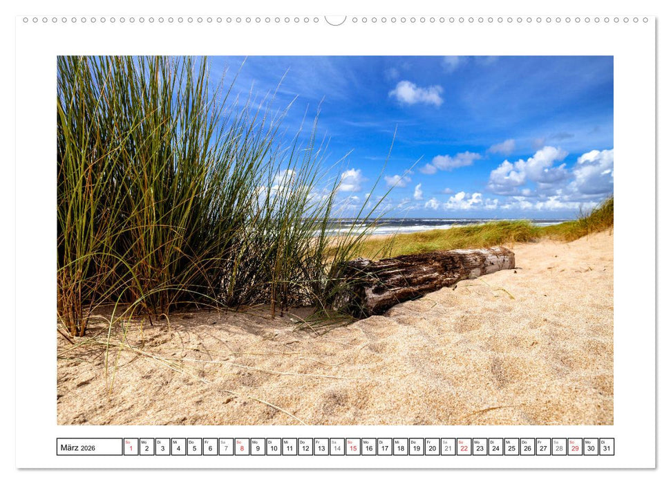 Sylt - Strandspaziergang (CALVENDO Premium Wandkalender 2026)