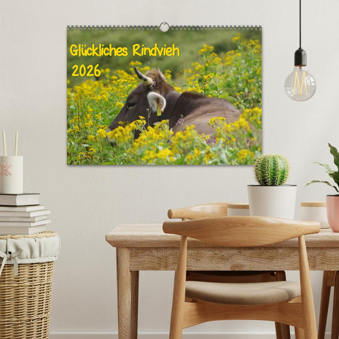 Glückliches Rindvieh 2026 (CALVENDO Wandkalender 2026)