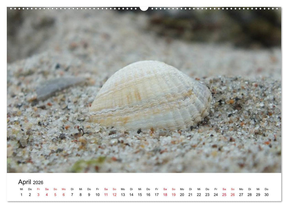 Lübecker Bucht (CALVENDO Premium Wandkalender 2026)