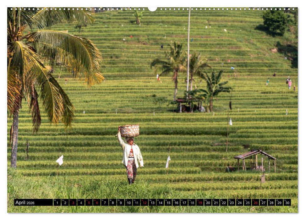 Bali - Indonesien (CALVENDO Premium Wandkalender 2026)