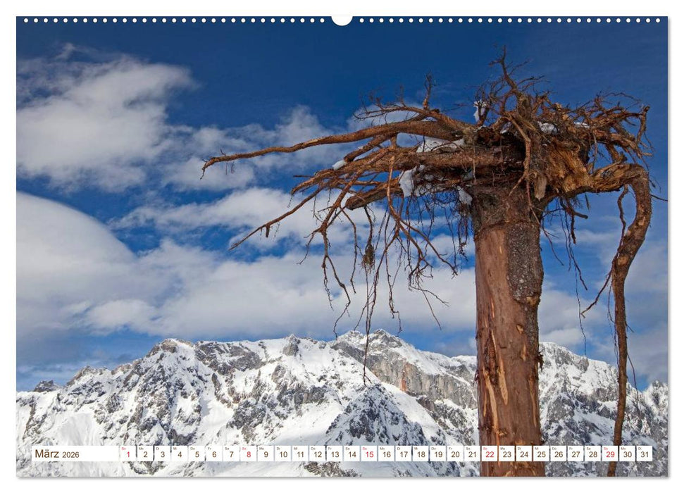 Alles aus Holz (CALVENDO Premium Wandkalender 2026)