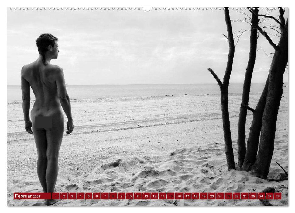 Haut(e) Couture (CALVENDO Premium Wandkalender 2026)