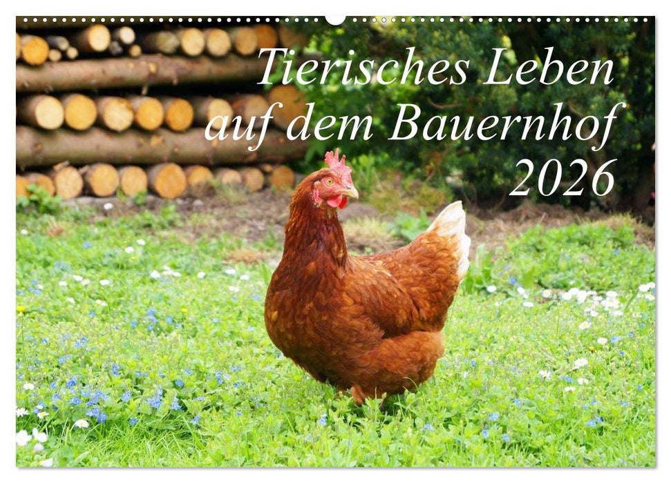Tierisches Leben auf dem Bauernhof 2026 (CALVENDO Wandkalender 2026)