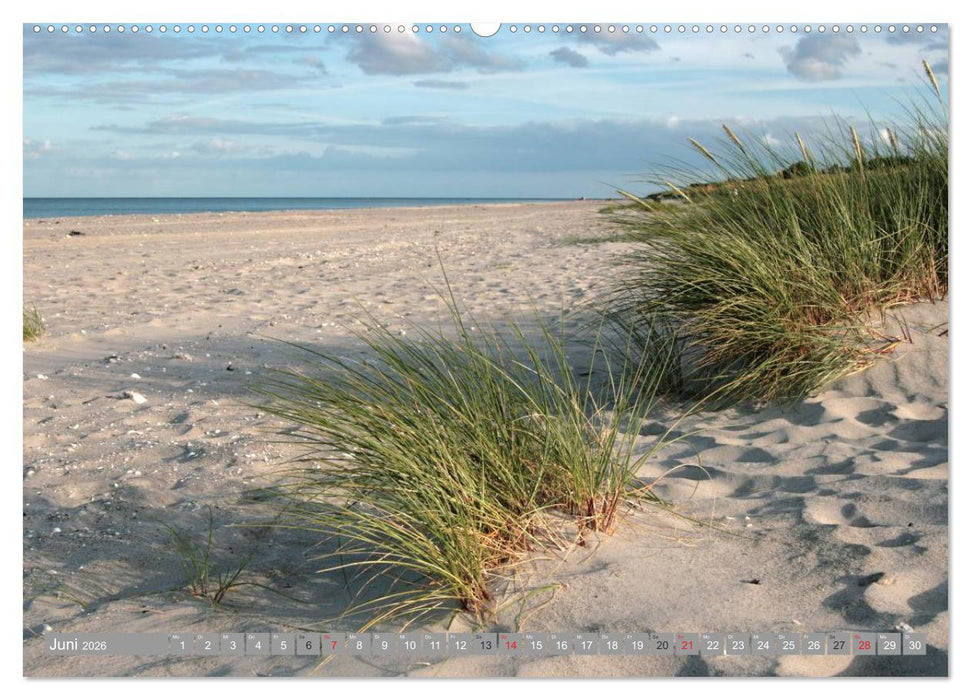 Dänemark - Ostseeküste (CALVENDO Premium Wandkalender 2026)