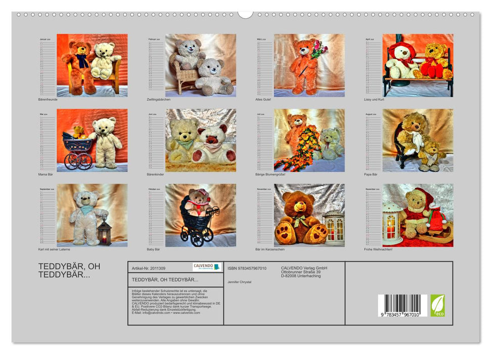 TEDDYBÄR, OH TEDDYBÄR... (CALVENDO Premium Wandkalender 2026)