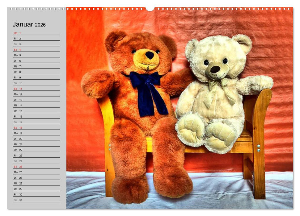 TEDDYBÄR, OH TEDDYBÄR... (CALVENDO Premium Wandkalender 2026)