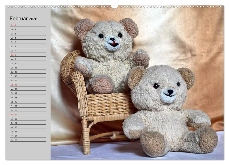 TEDDYBÄR, OH TEDDYBÄR... (CALVENDO Premium Wandkalender 2026)