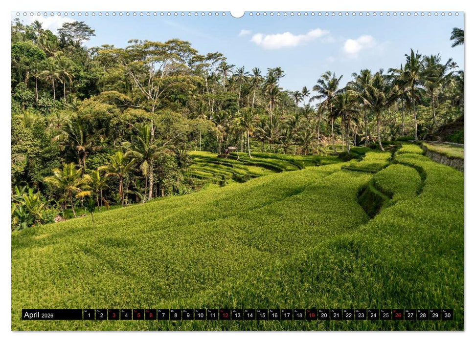 Ubud - Bali (CALVENDO Premium Wandkalender 2026)