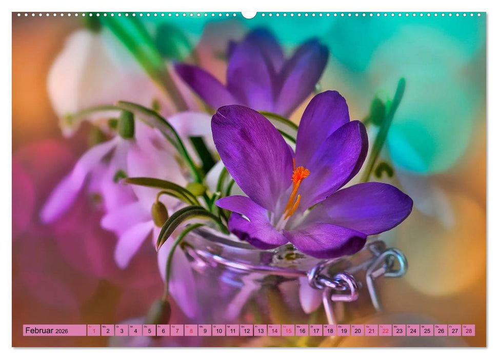 Lila - die mystische Farbe (CALVENDO Premium Wandkalender 2026)