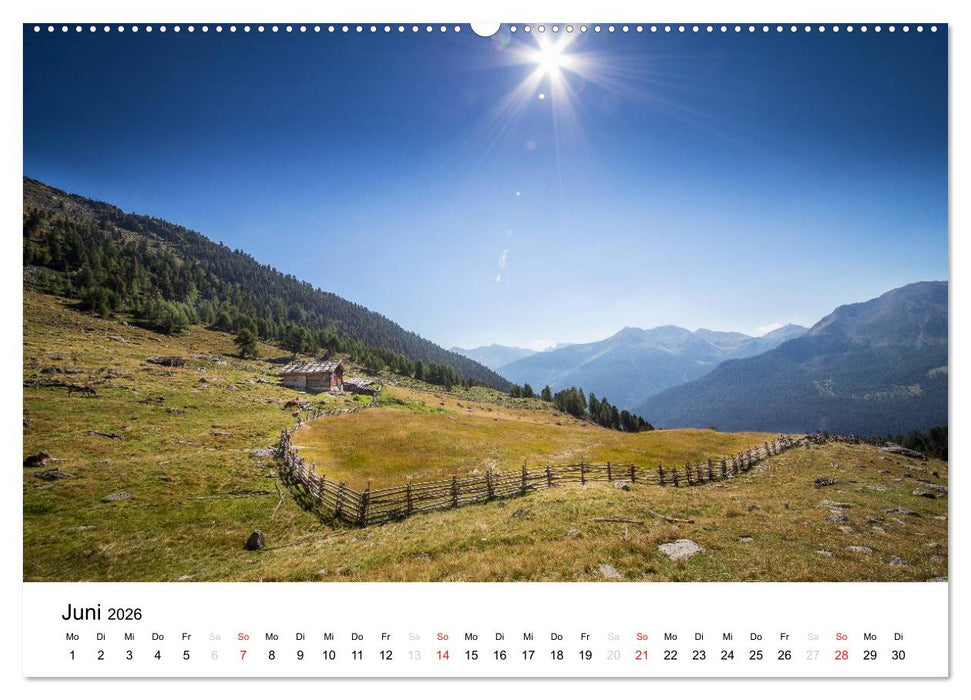Almen im Ultental (CALVENDO Wandkalender 2026)