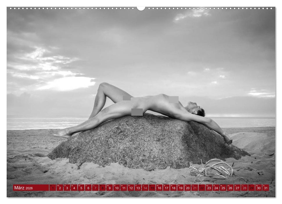 Haut(e) Couture (CALVENDO Wandkalender 2026)