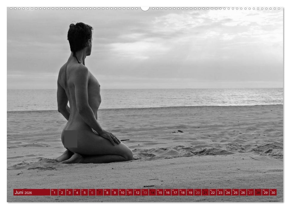 Haut(e) Couture (CALVENDO Wandkalender 2026)