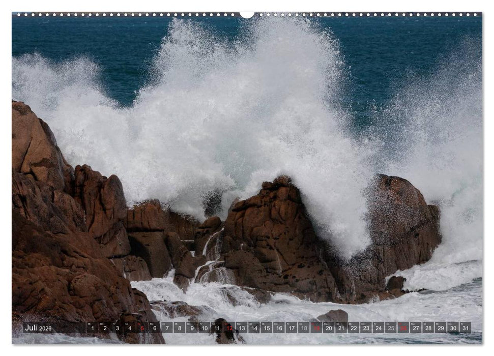 Fels in der Brandung (CALVENDO Premium Wandkalender 2026)