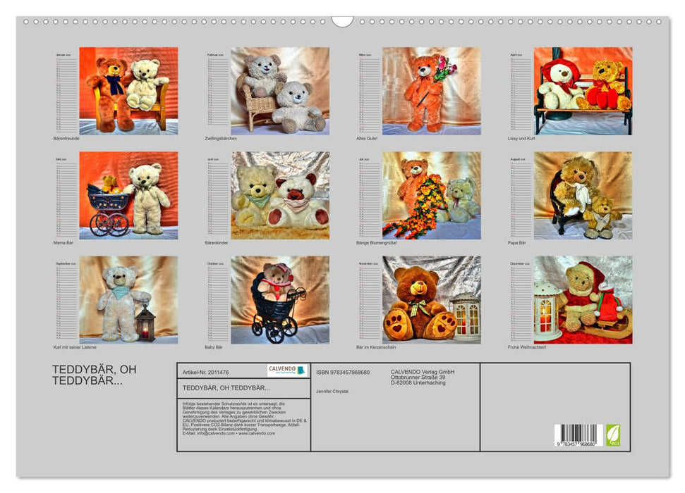 TEDDYBÄR, OH TEDDYBÄR... (CALVENDO Wandkalender 2026)