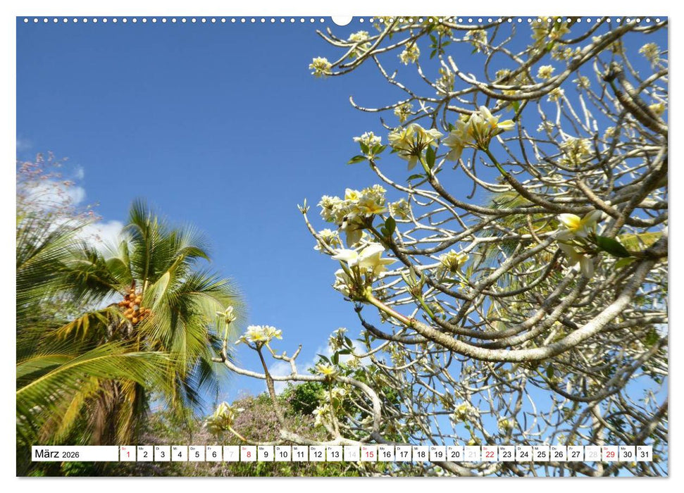 Papua-Neuguinea Geheimnisvolle Inselwelt (CALVENDO Premium Wandkalender 2026)