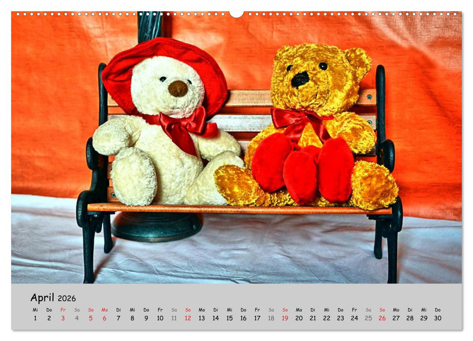 TEDDYBÄR, OH TEDDYBÄR... (CALVENDO Premium Wandkalender 2026)