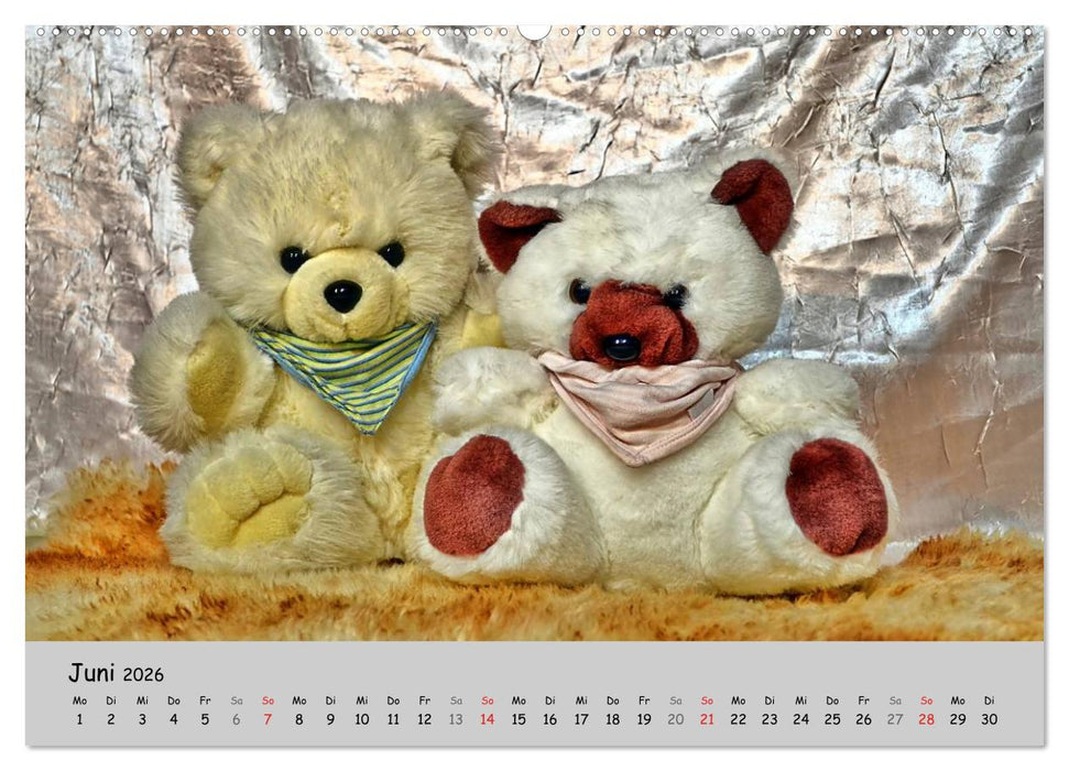 TEDDYBÄR, OH TEDDYBÄR... (CALVENDO Premium Wandkalender 2026)