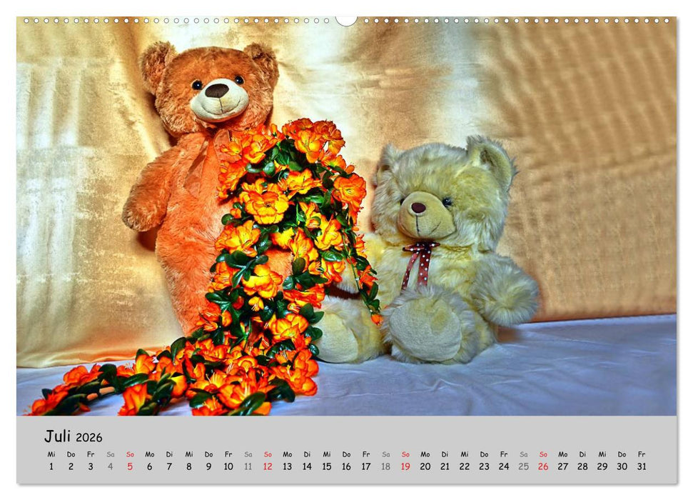 TEDDYBÄR, OH TEDDYBÄR... (CALVENDO Premium Wandkalender 2026)