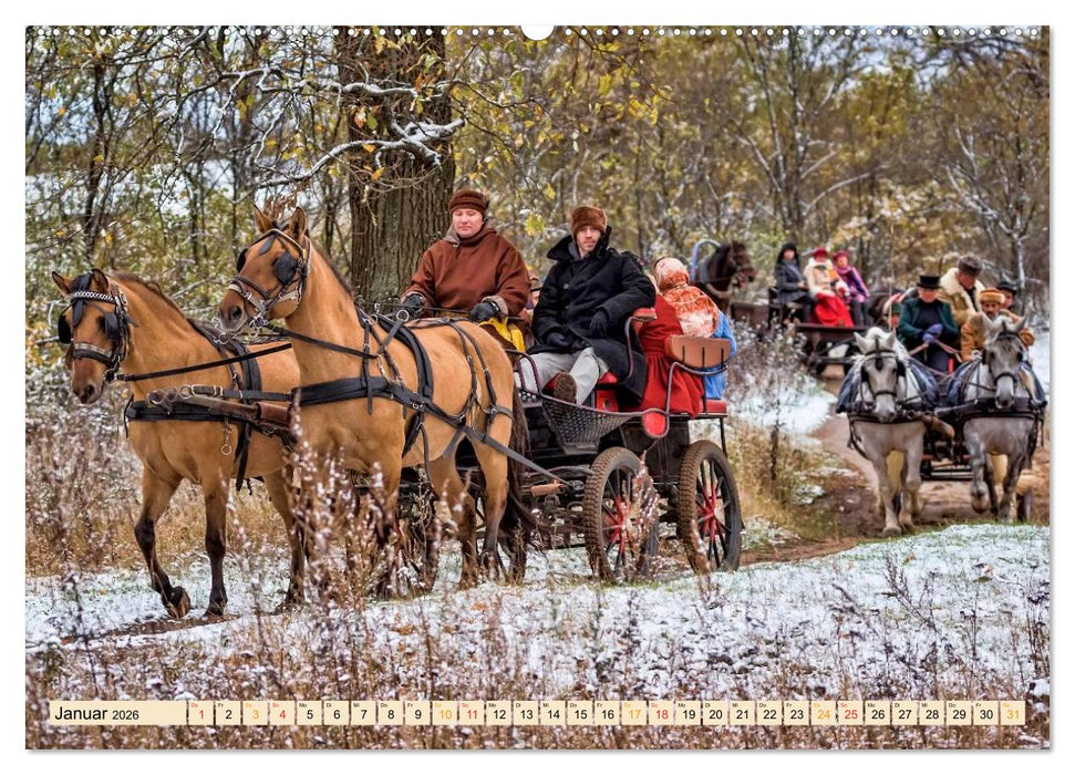 Pferdekutschen - Vorgänger des Automobils (CALVENDO Wandkalender 2026)