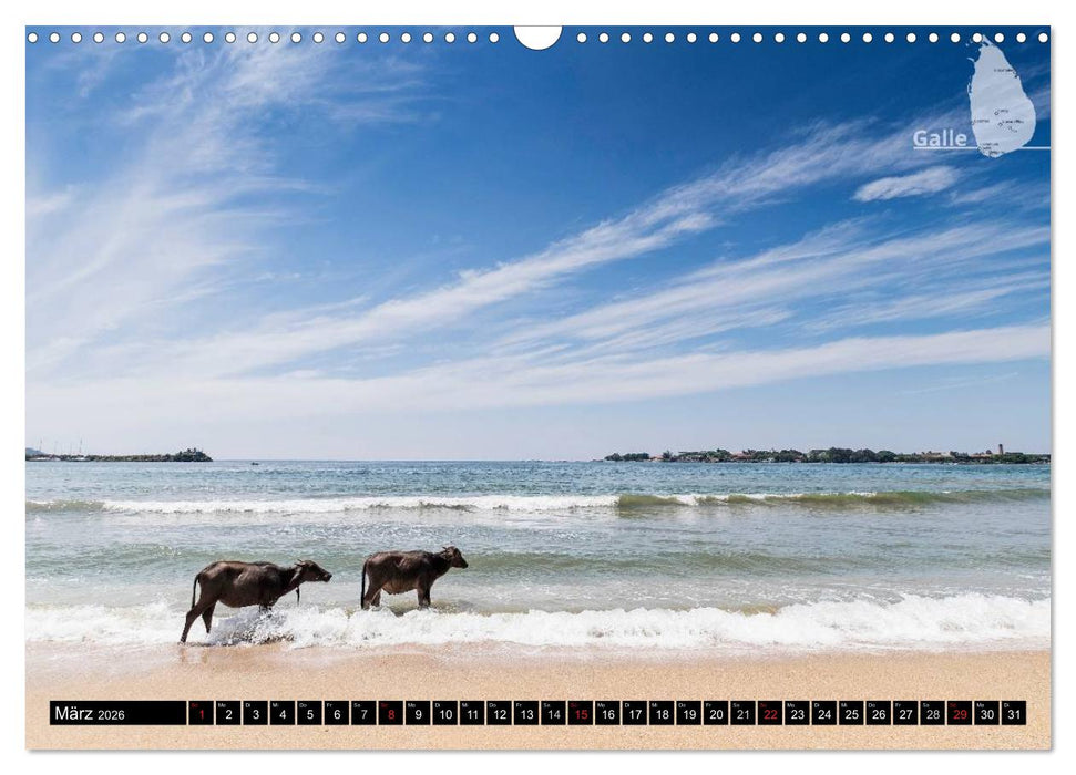 Sri Lanka, eine Reise über die Insel der King Coconut (CALVENDO Wandkalender 2026)