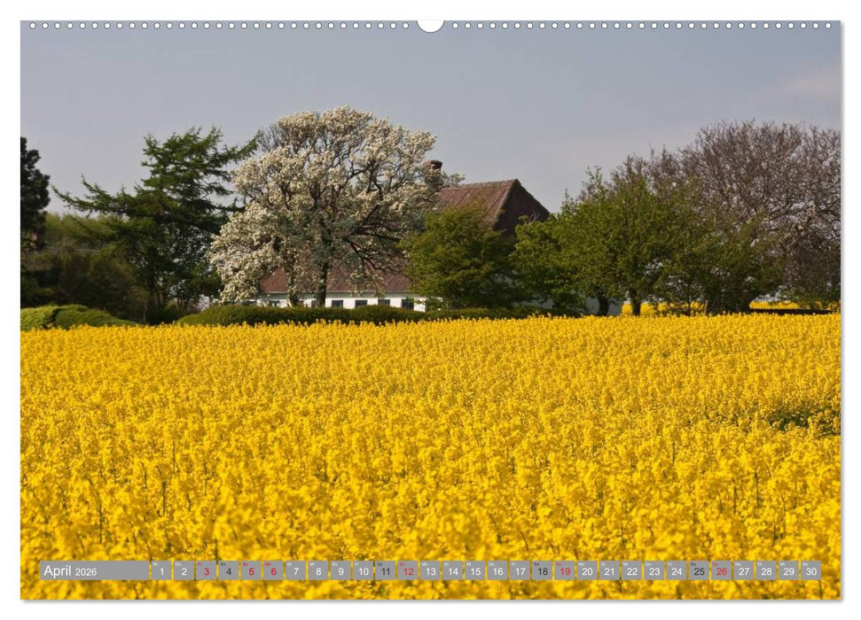 Dänemark - Ostseeküste (CALVENDO Wandkalender 2026)