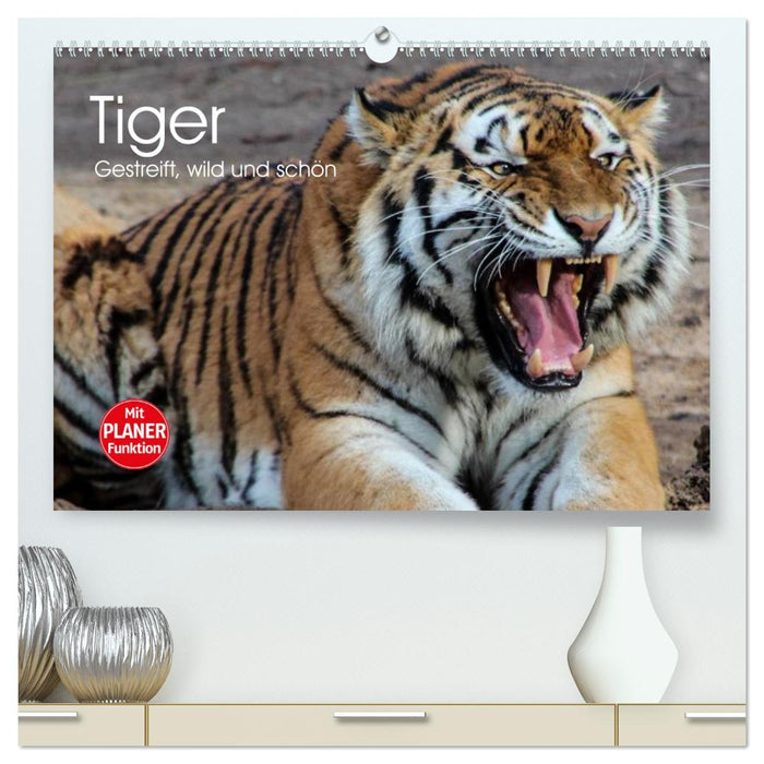 Tiger. Gestreift, wild und schön (CALVENDO Premium Wandkalender 2026)