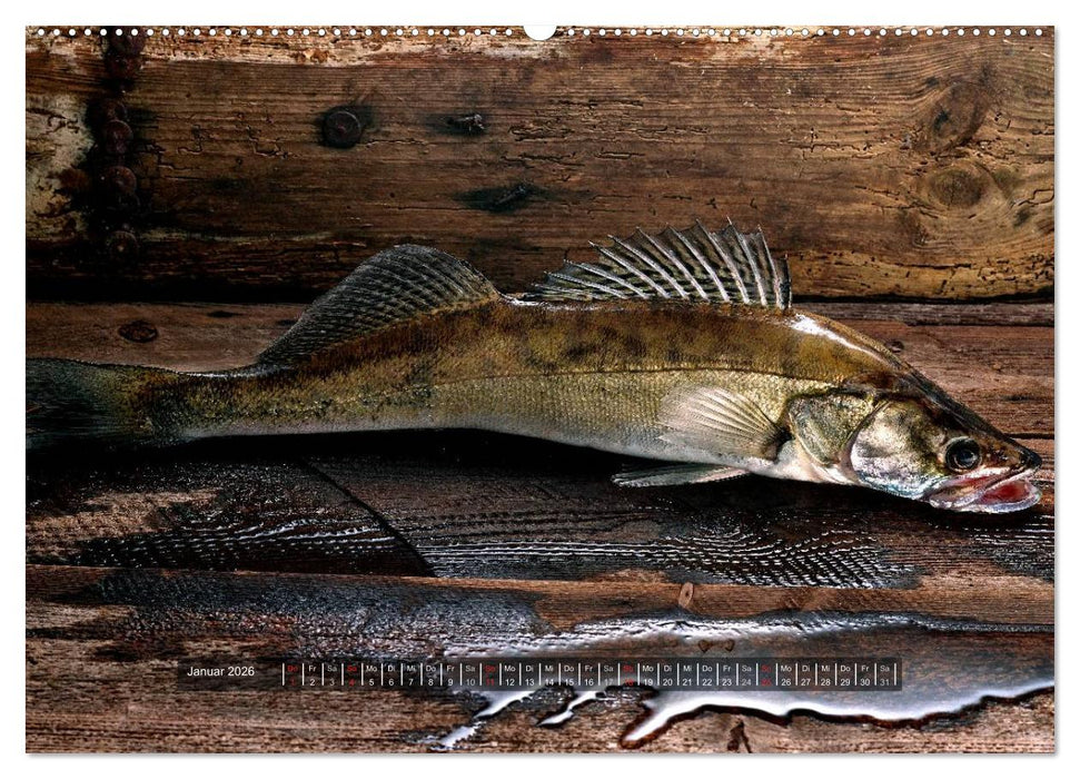 UNSER FISCH. SÜßWASSER. (CALVENDO Premium Wandkalender 2026)