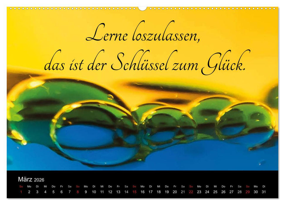 Mit Sprüchen und Weisheiten durch´s Jahr (CALVENDO Premium Wandkalender 2026)